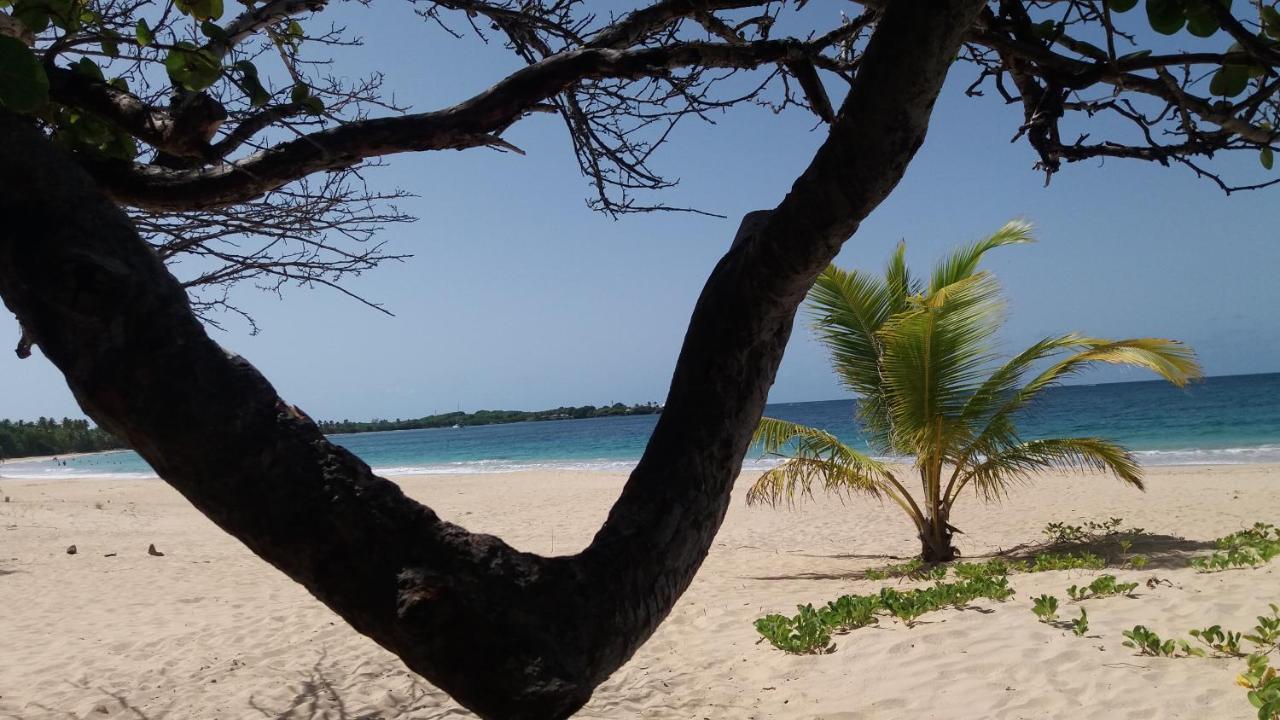 Appartamento Turquoise Caritan Sainte-Anne Esterno foto