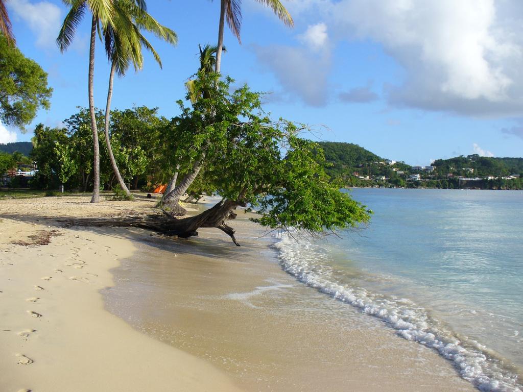 Appartamento Turquoise Caritan Sainte-Anne Esterno foto