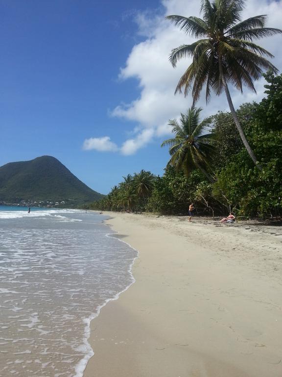 Appartamento Turquoise Caritan Sainte-Anne Esterno foto