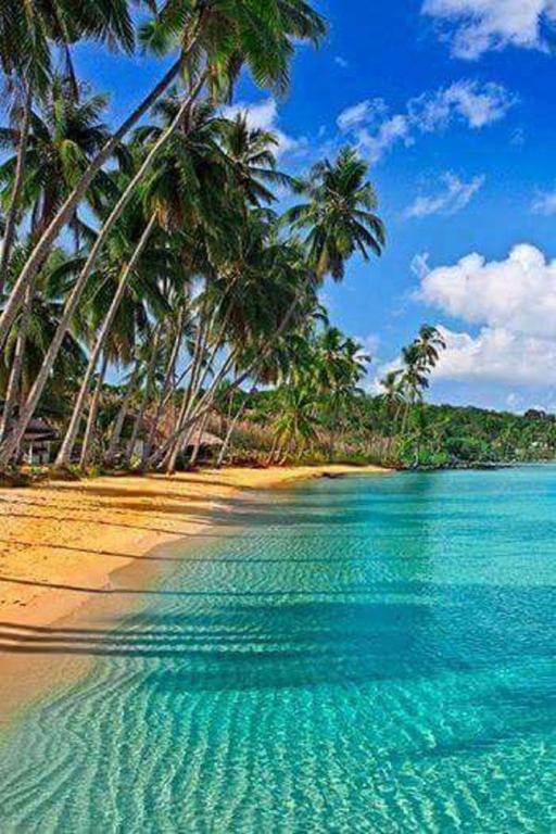 Appartamento Turquoise Caritan Sainte-Anne Esterno foto