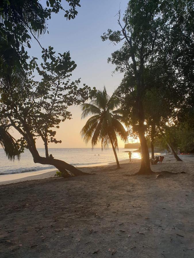 Appartamento Turquoise Caritan Sainte-Anne Esterno foto